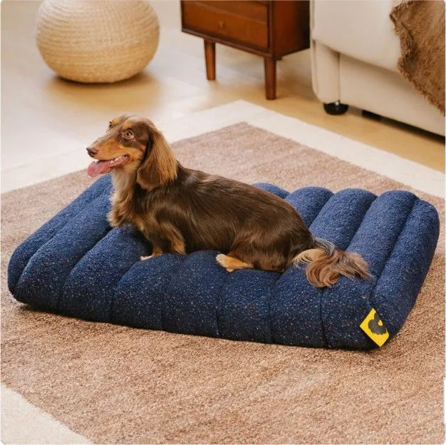 Dog Beds