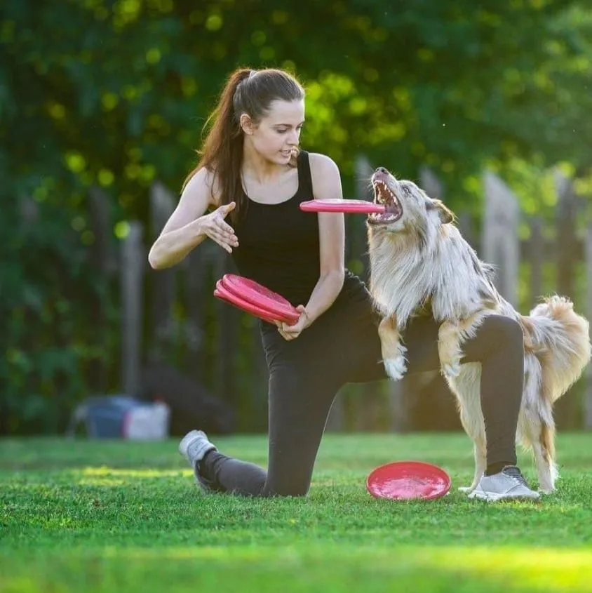 Dog Sports