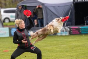 Dog Sports