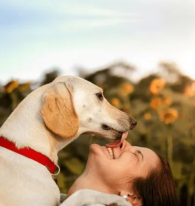 GPS dog collar