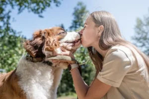 Foster to Adopt Dogs