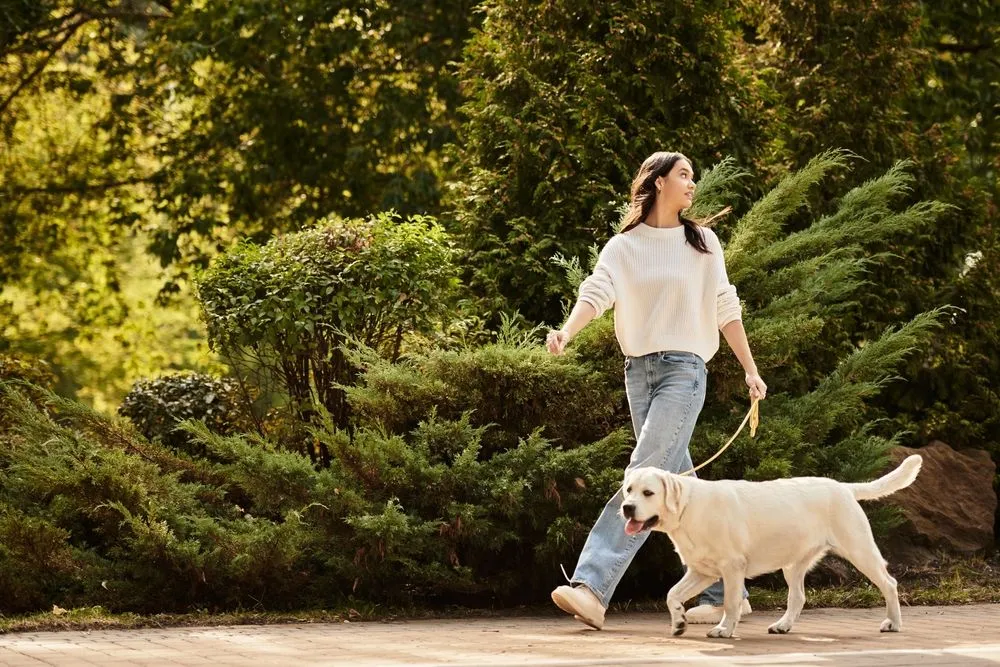 Dog Adoption Process