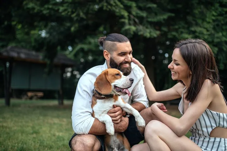 Dog Adoption Process
